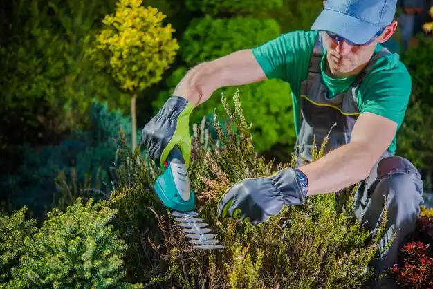 landscaping services Orrick